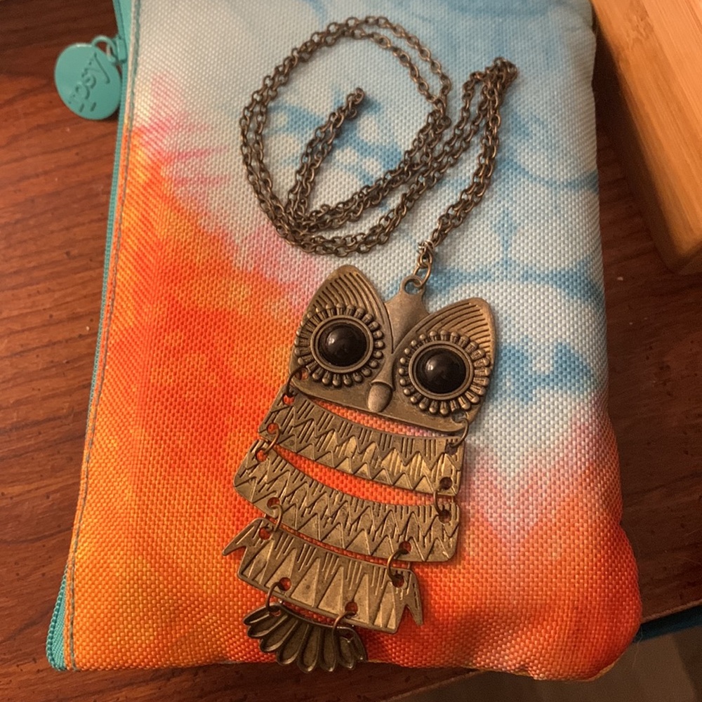 Owl Pendant Necklace 26 inch chain brass